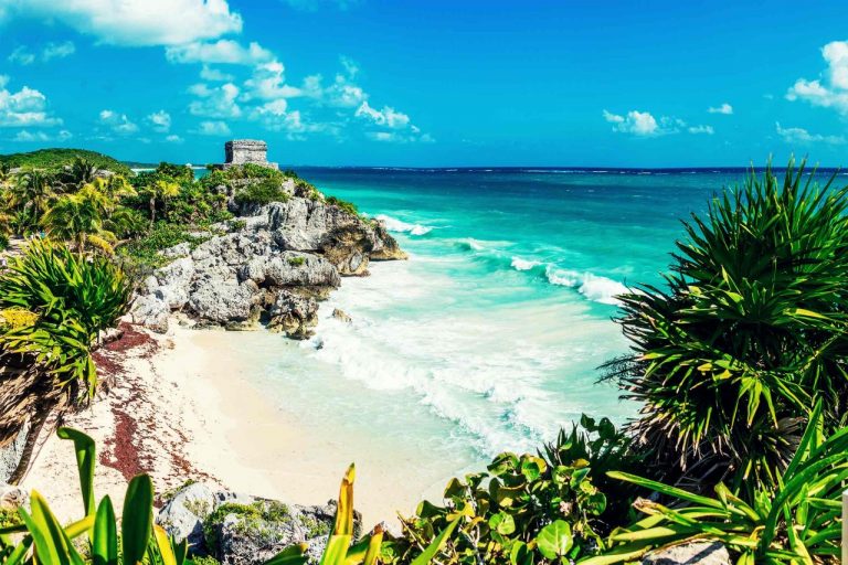 dia-muertos-retreat-tulum-psychedelics